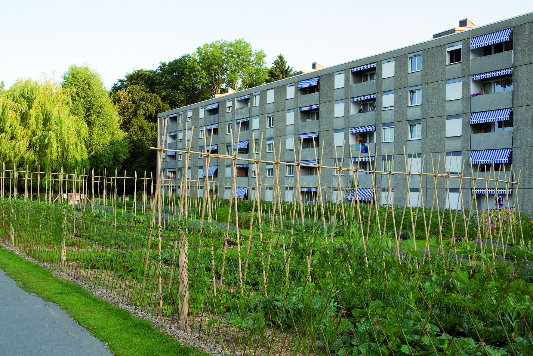 1.4 Plantons! ©L.Baud